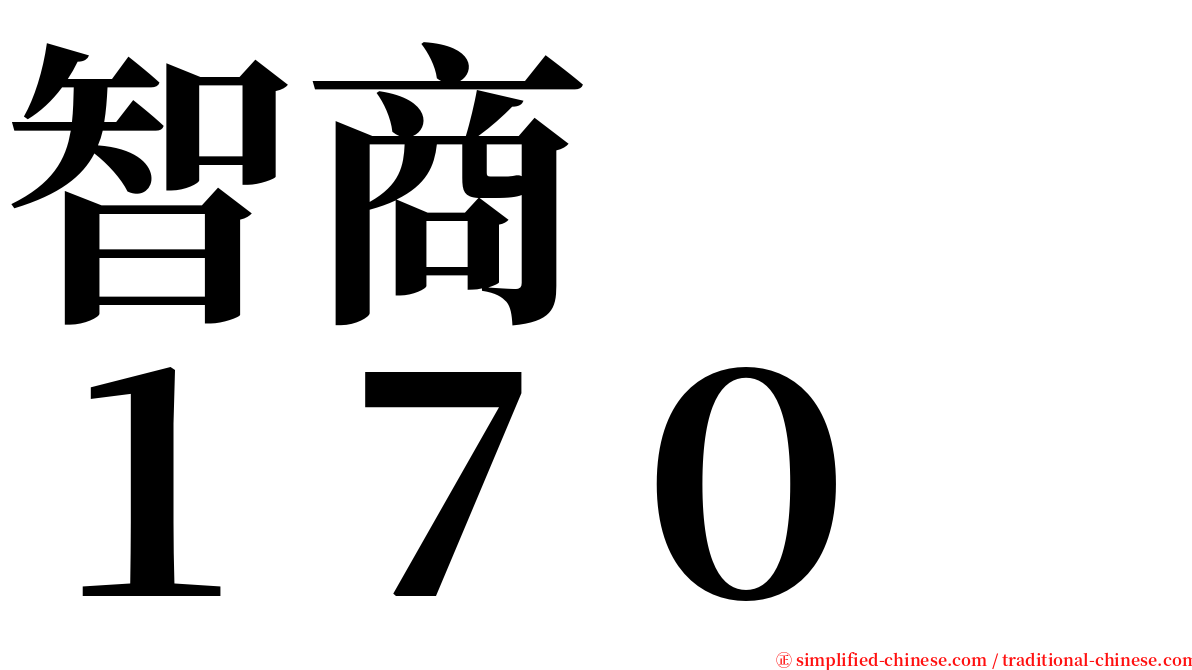 智商　　１７０ serif font